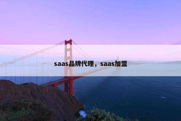 saas品牌代理，saas加盟