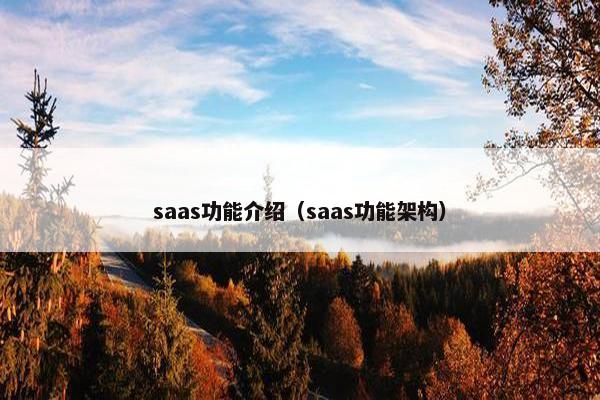 saas功能介绍（saas功能架构）