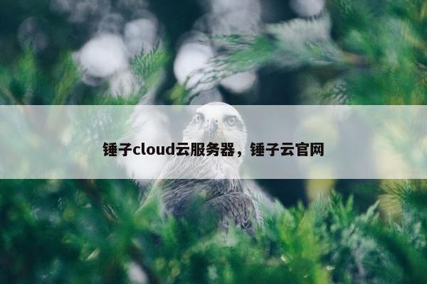 锤子cloud云服务器，锤子云官网