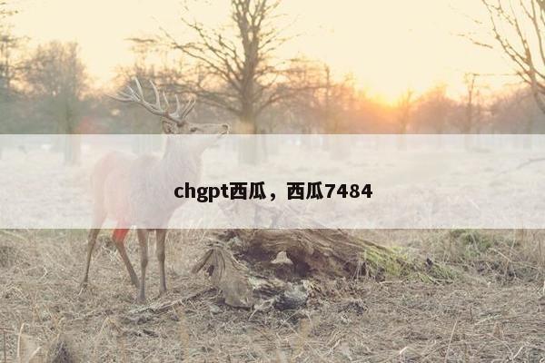 chgpt西瓜，西瓜7484