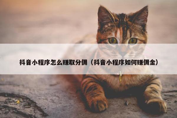 抖音小程序怎么赚取分佣（抖音小程序如何赚佣金）