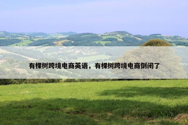 有棵树跨境电商英语，有棵树跨境电商倒闭了