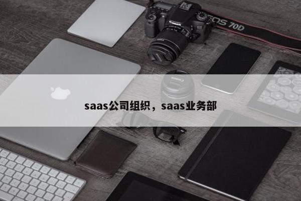 saas公司组织，saas业务部