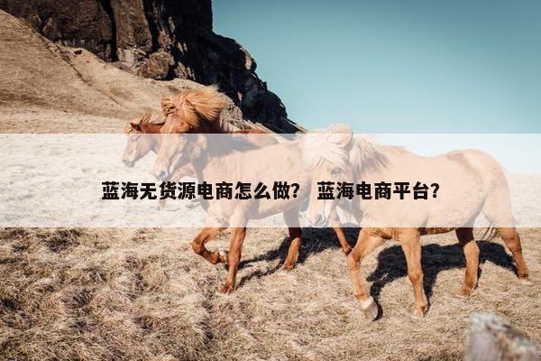 蓝海无货源电商怎么做？ 蓝海电商平台？