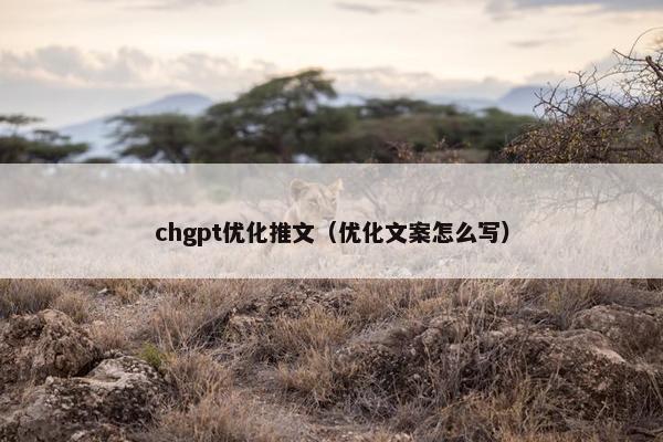 chgpt优化推文（优化文案怎么写）