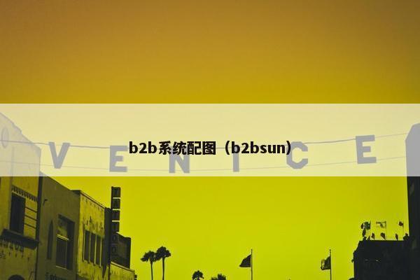 b2b系统配图（b2bsun）