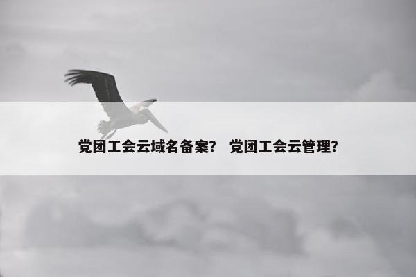 党团工会云域名备案？ 党团工会云管理？