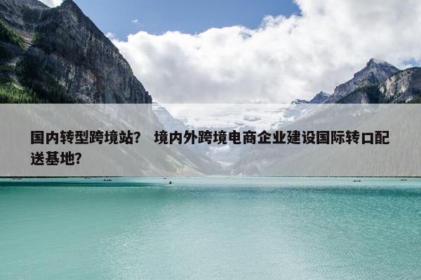 国内转型跨境站？ 境内外跨境电商企业建设国际转口配送基地？