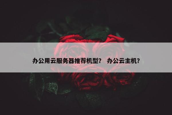办公用云服务器推荐机型？ 办公云主机？
