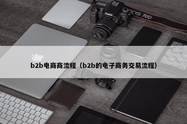 b2b电商商流程（b2b的电子商务交易流程）