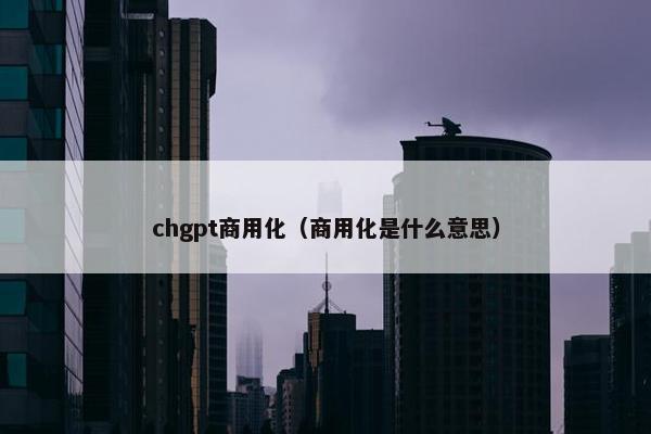 chgpt商用化（商用化是什么意思）