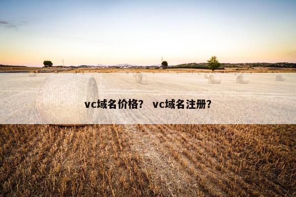 vc域名价格？ vc域名注册？