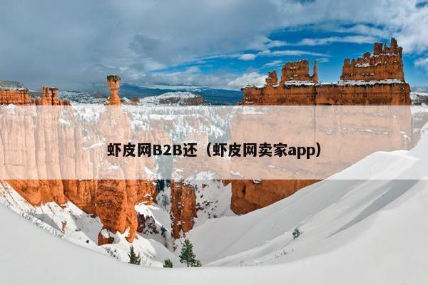 虾皮网B2B还（虾皮网卖家app）