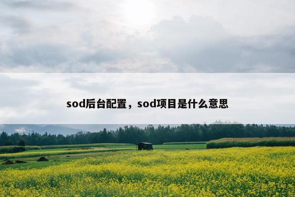 sod后台配置，sod项目是什么意思