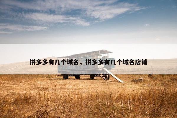 拼多多有几个域名，拼多多有几个域名店铺