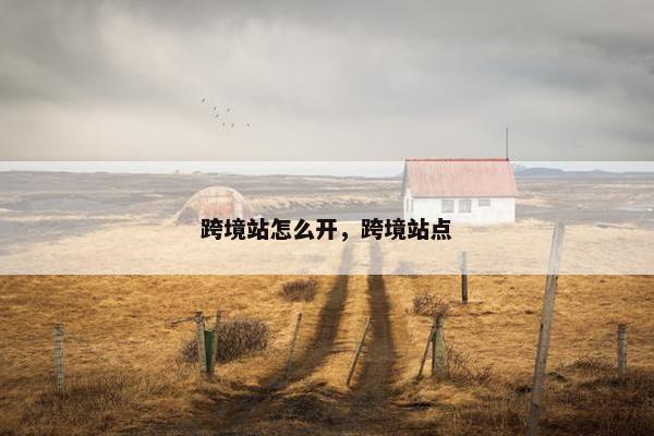 跨境站怎么开，跨境站点