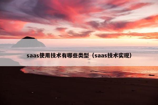 saas使用技术有哪些类型（saas技术实现）