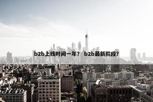 b2b上线时间一年？ b2b最新阶段？