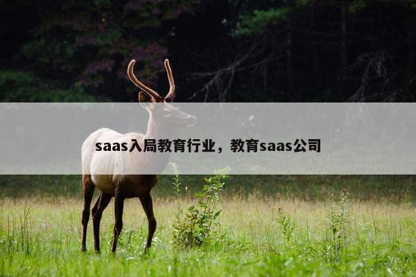 saas入局教育行业，教育saas公司