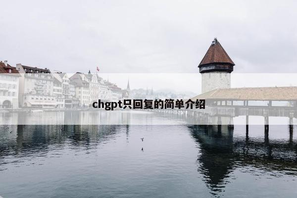 chgpt只回复的简单介绍