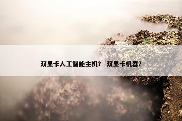 双显卡人工智能主机？ 双显卡机器？