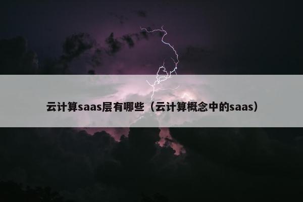 云计算saas层有哪些（云计算概念中的saas）