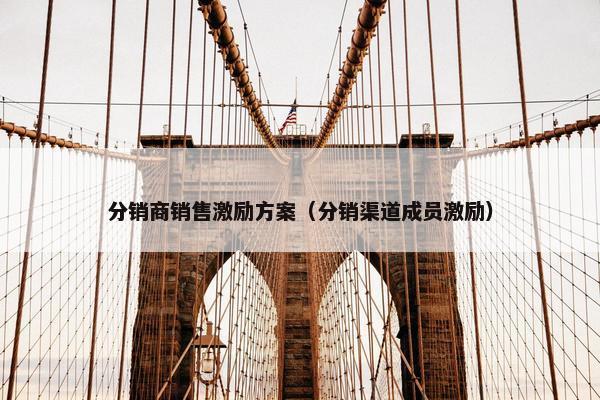 分销商销售激励方案（分销渠道成员激励）