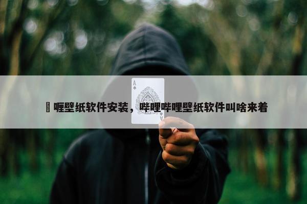 啫喱壁纸软件安装，哔哩哔哩壁纸软件叫啥来着