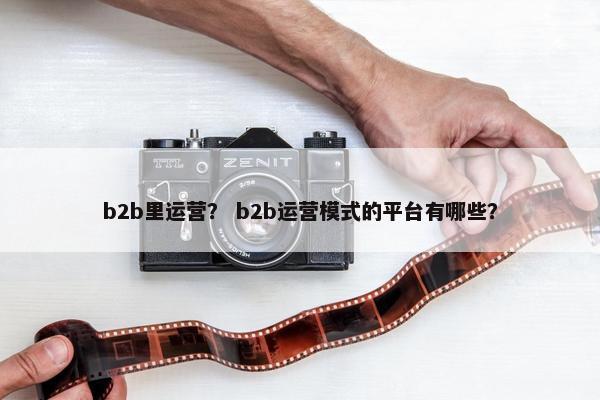 b2b里运营？ b2b运营模式的平台有哪些？