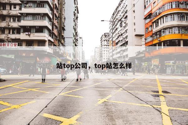 站top公司，top站怎么样