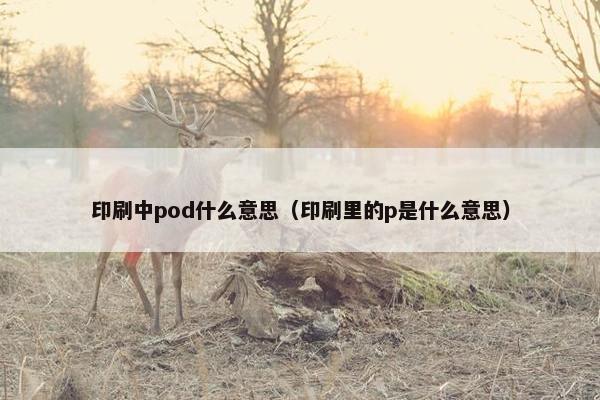 印刷中pod什么意思（印刷里的p是什么意思）