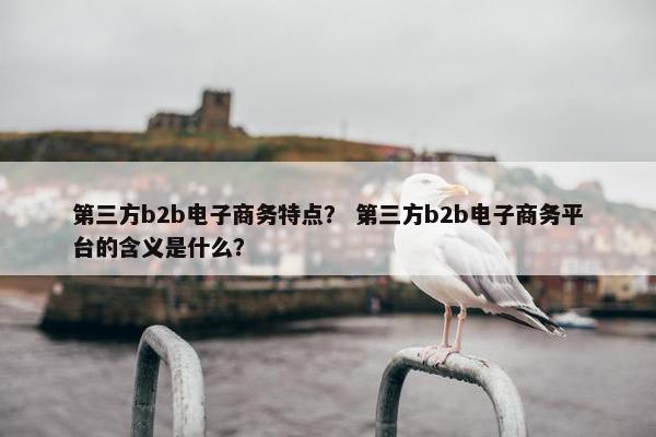 第三方b2b电子商务特点？ 第三方b2b电子商务平台的含义是什么？