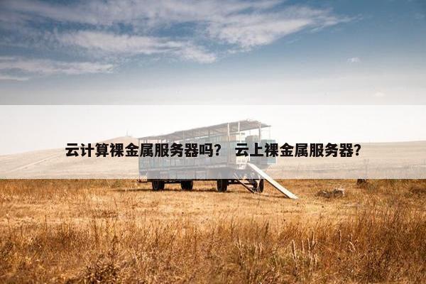 云计算裸金属服务器吗？ 云上裸金属服务器？