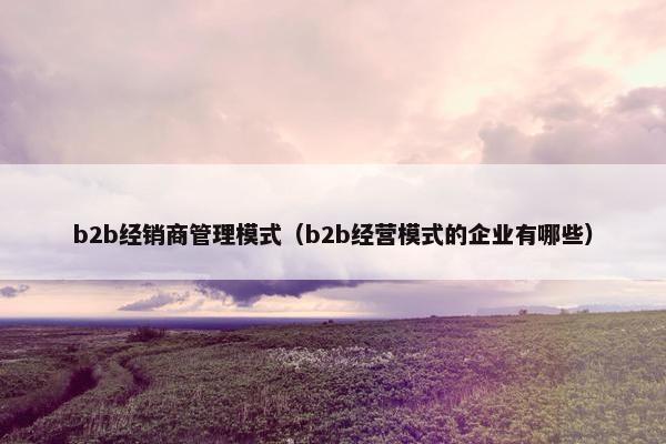 b2b经销商管理模式（b2b经营模式的企业有哪些）