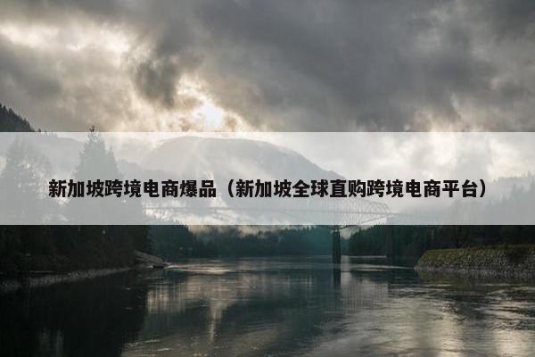 新加坡跨境电商爆品（新加坡全球直购跨境电商平台）