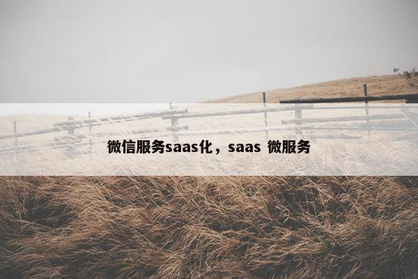 微信服务saas化，saas 微服务