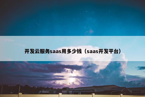 开发云服务saas用多少钱（saas开发平台）