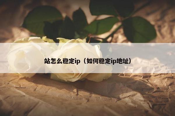 站怎么稳定ip（如何稳定ip地址）
