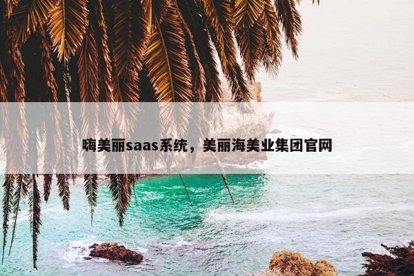 嗨美丽saas系统，美丽海美业集团官网