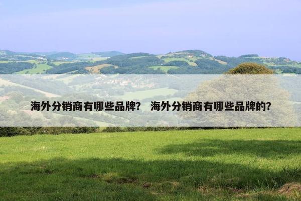 海外分销商有哪些品牌？ 海外分销商有哪些品牌的？