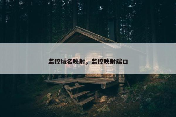 监控域名映射，监控映射端口