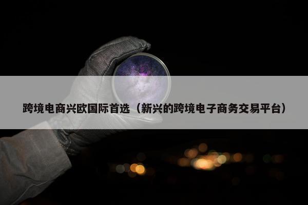 跨境电商兴欧国际首选（新兴的跨境电子商务交易平台）