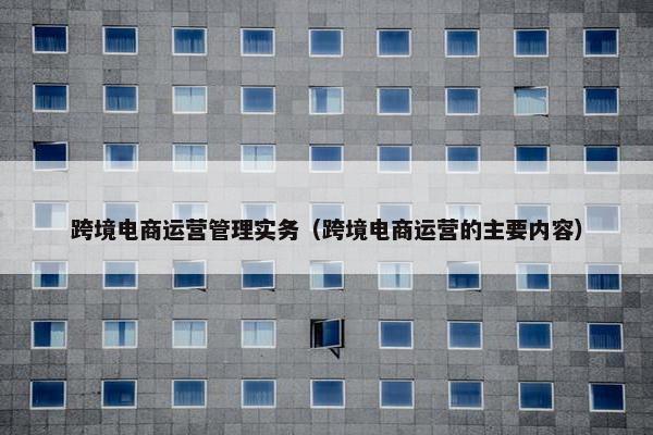 跨境电商运营管理实务（跨境电商运营的主要内容）