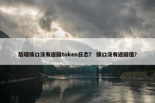 后端接口没有返回token日志？ 接口没有返回值？