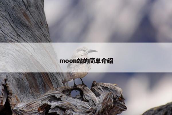 moon站的简单介绍