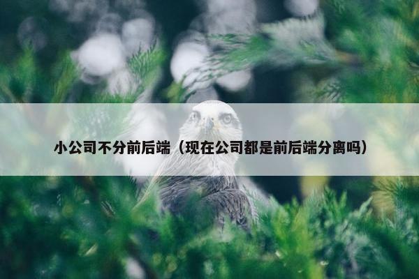 小公司不分前后端（现在公司都是前后端分离吗）