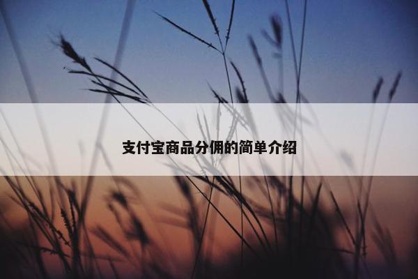 支付宝商品分佣的简单介绍