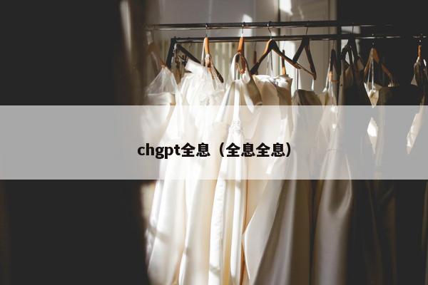 chgpt全息（全息全息）