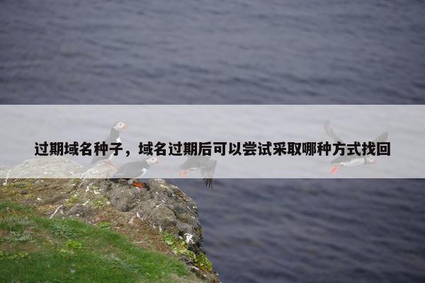 过期域名种子，域名过期后可以尝试采取哪种方式找回