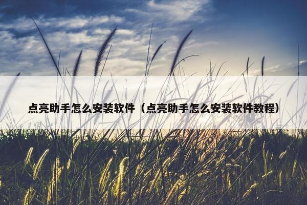 点亮助手怎么安装软件（点亮助手怎么安装软件教程）